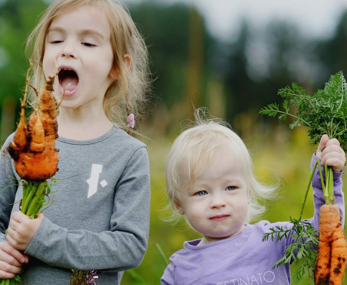 Children holding freshly harvested carrots